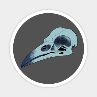 Raven Skull Magnet